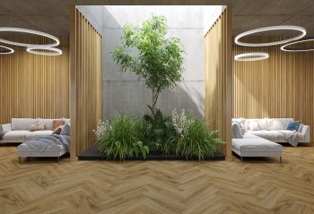 Greenery within an office setting